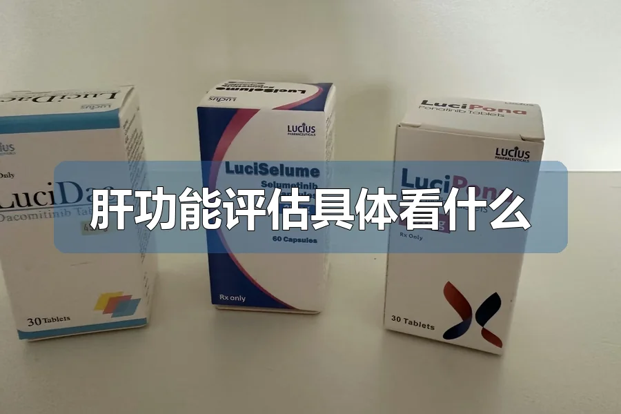 肝功能评估具体看什么